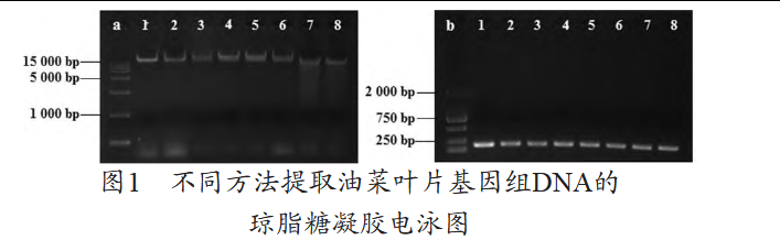 1781139488214172.png 圖片.png